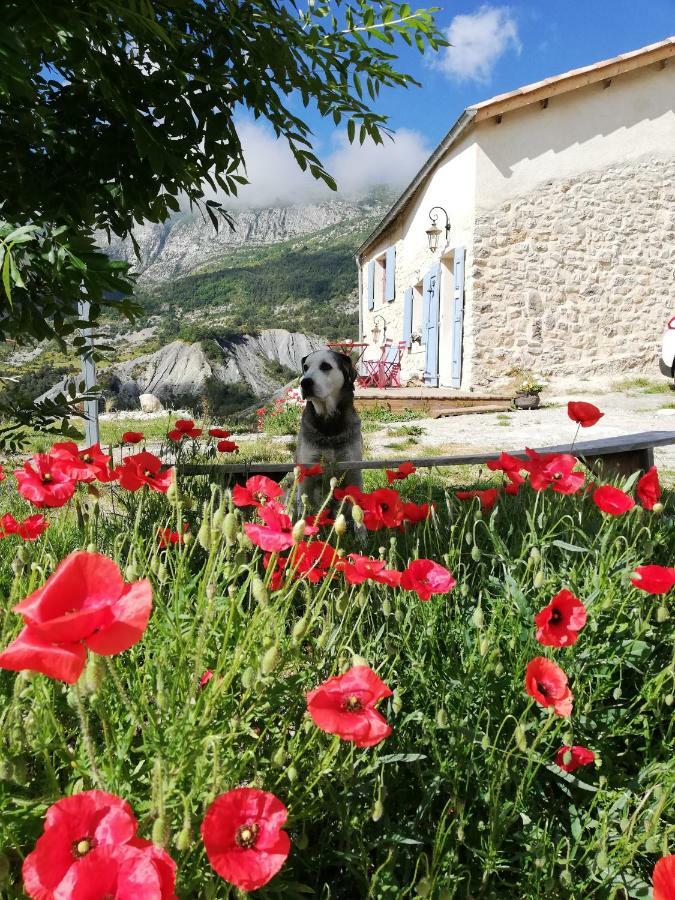 Gaia, Maison D'Hotes Verdon, Vue Feerique Blieux Экстерьер фото